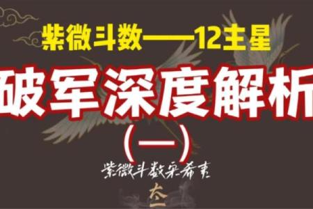 紫薇斗数命在破军