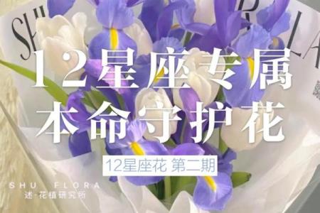 十二星座什么花适合自己