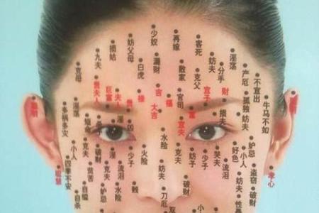 眼相算命图解大全