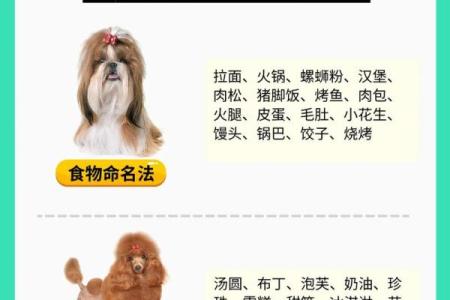 上午10点出生的属狗男孩如何取名，宜用什么字姓名