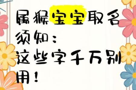 1月份出生的属猴男孩该怎么取名才好姓名