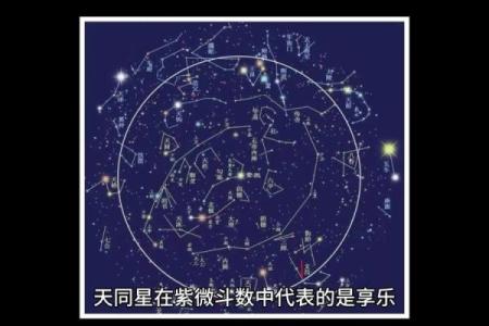 紫薇斗数的小限指的什么