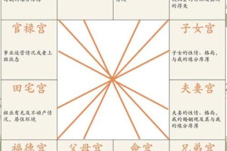 紫薇斗数看生子年