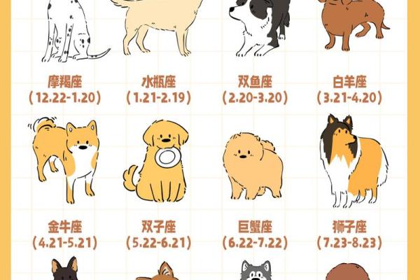 12星座应该养哪种狗狗