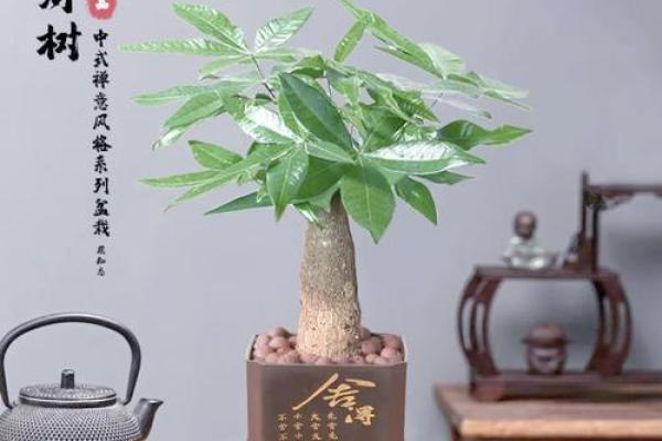 这摆件放家里，可旺风水助运势
