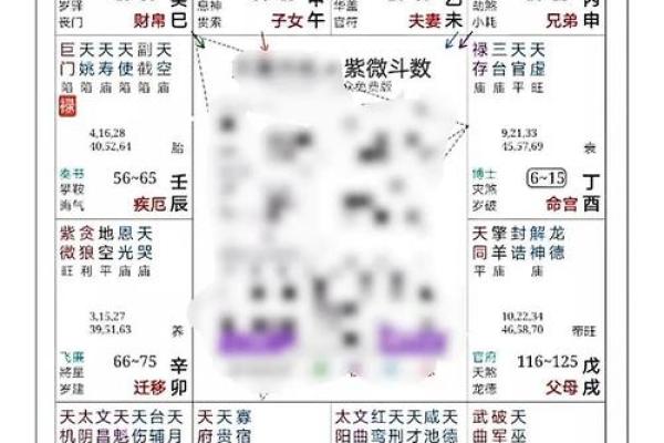 紫微斗数案例48财官：能力强、欲望大的人，愿你的命盘不是这样