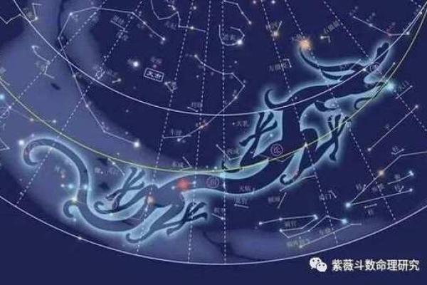 紫薇斗数紫府朝斗
