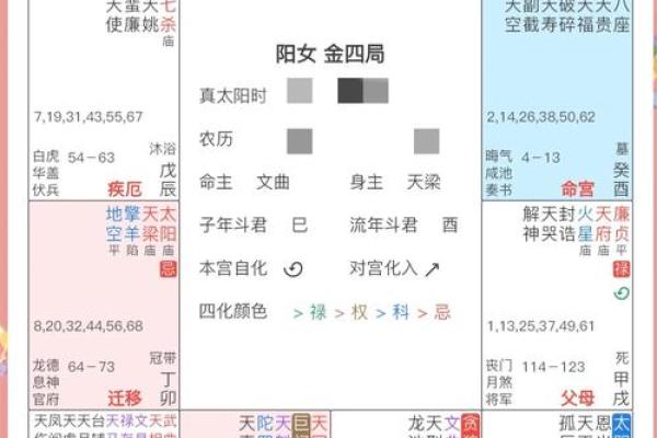 紫薇斗数免费测算财运