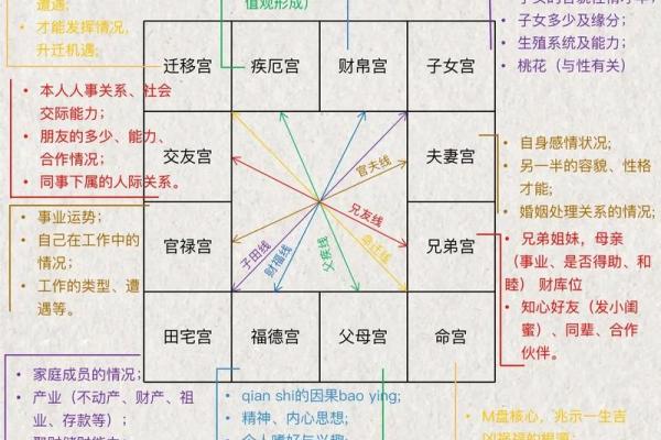 大家找紫薇斗数算命网
