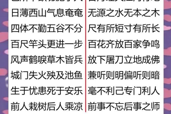 用八字成语