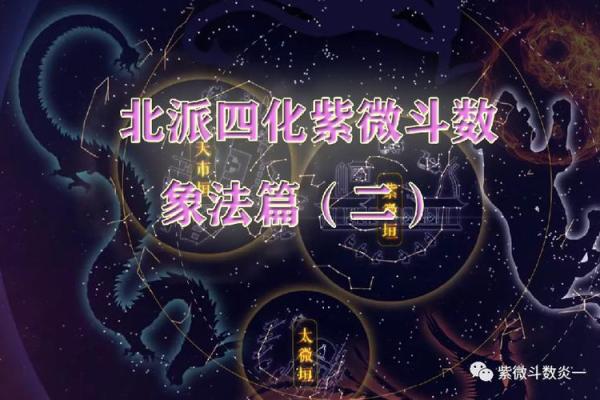 紫薇斗数欧美篇