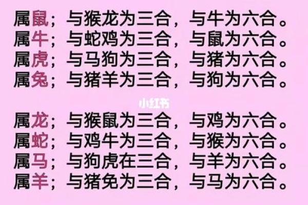 属相配对表