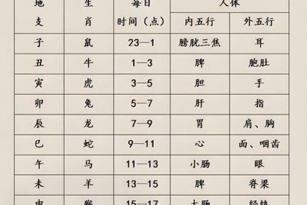 八字基础，干支阴阳差异