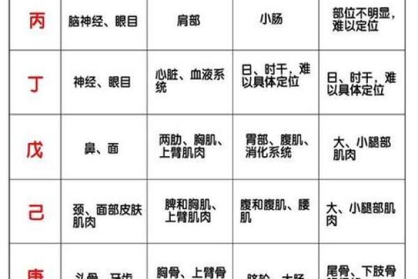 八字基础，干支阴阳差异