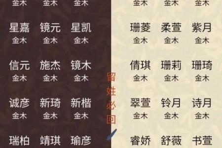 2019年4月28号卯时出生的男孩应该起什么样的名字姓名