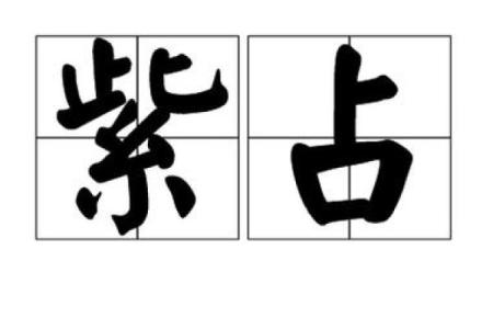 紫薇斗数反推生辰