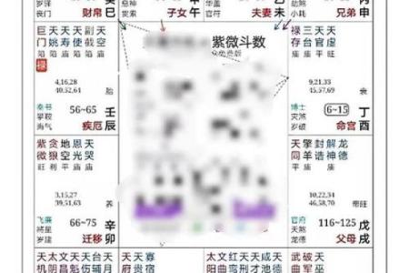 紫微斗数案例48财官：能力强、欲望大的人，愿你的命盘不是这样