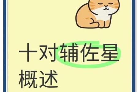紫薇斗数台辅