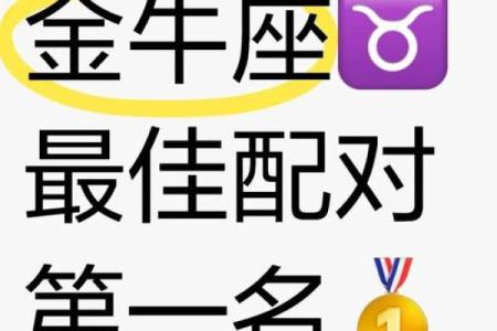 处女男和金牛女配对指数