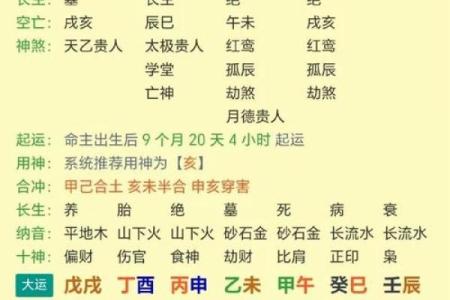 甲木八字