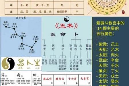 大家找紫薇斗数算命网