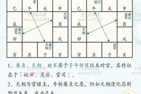紫薇斗数 怎么避开死劫