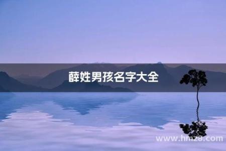 薛姓男孩名字大全-薛姓男孩起名字大全-薛姓名字大全姓名