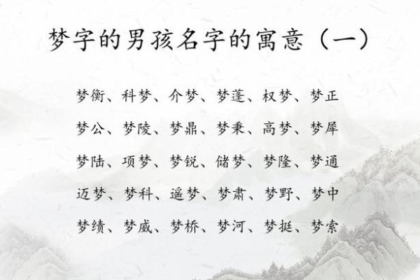 属鸡寅时出生的男孩如何取名，宜用什么字姓名