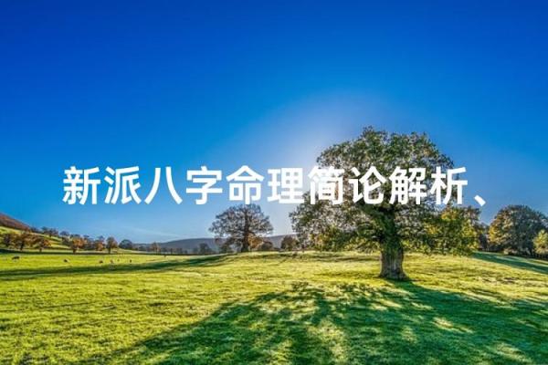 新派八字.