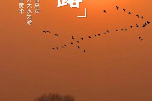 寒生露凝，透过民俗望寒露禁忌