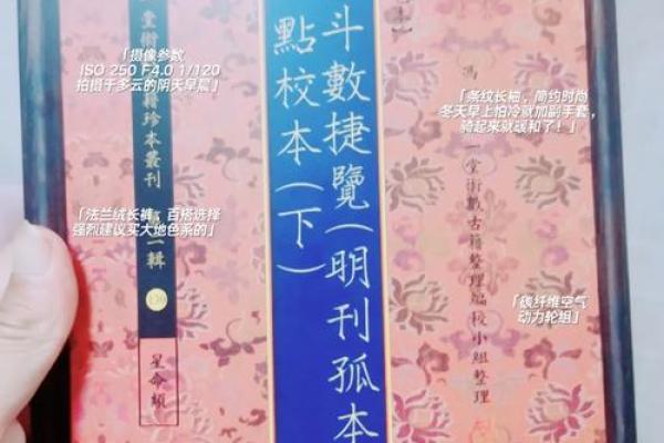 范冰冰紫薇斗数