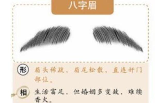 倒八字眉,眉毛上扬将军眉