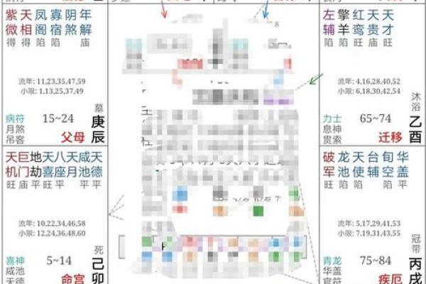 紫薇斗数象意