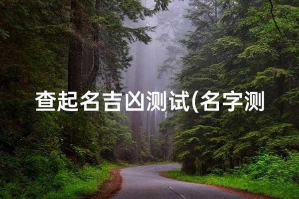 查男孩名字打分测试打分测试