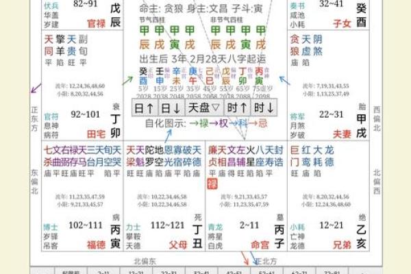 文墨天际紫薇斗数