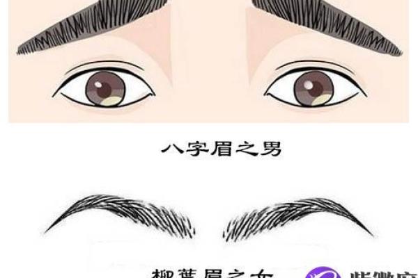 八字眉的女人命好不好风水解读