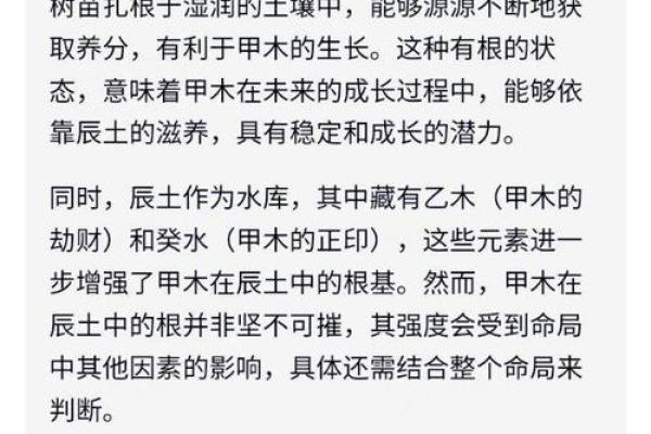 解密江湖骗局，算命