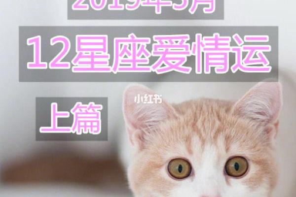 花钱最浪费的星座有哪些 哪些星座最浪费钱