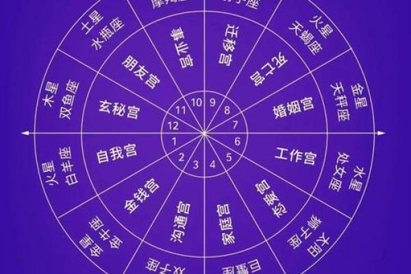 免费星盘在线测算 免费个人星盘在线星盘