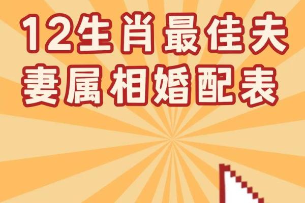 婚姻属相配对
