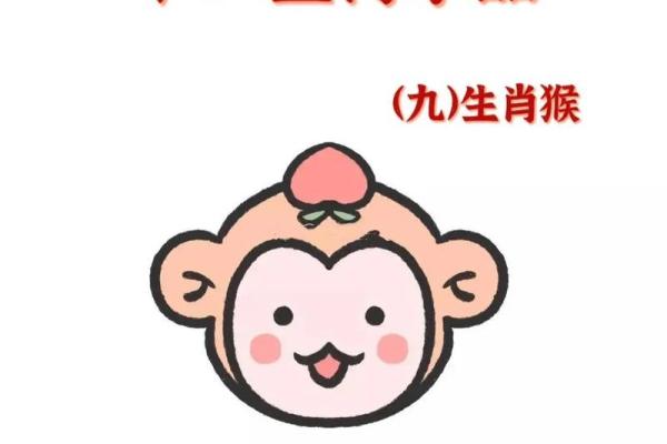 11月份出生的属猴男孩要什么名字才最好-姓名