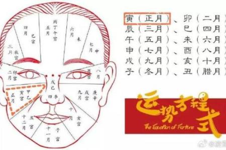 脸上各部位的胎记如何分析算命？
