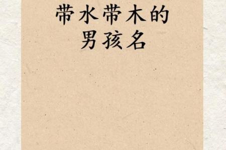 属鸡寅时出生的男孩如何取名，宜用什么字姓名