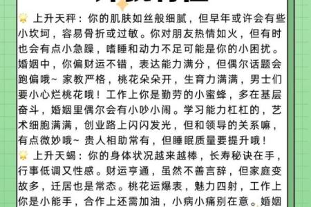 上升星座什么意思