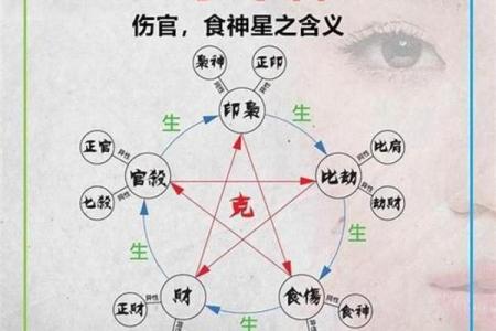 八字伤官月支