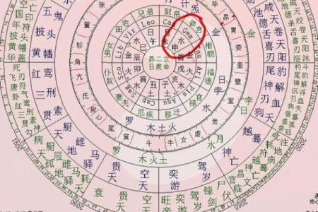 紫薇斗数太阴座是什么