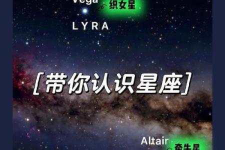 织女星位于哪个星座-牵牛星和织女星各属于什么星座
