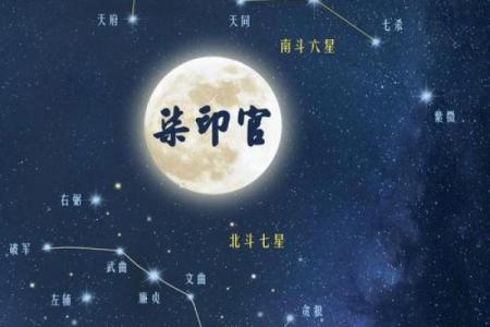 紫薇斗数象意