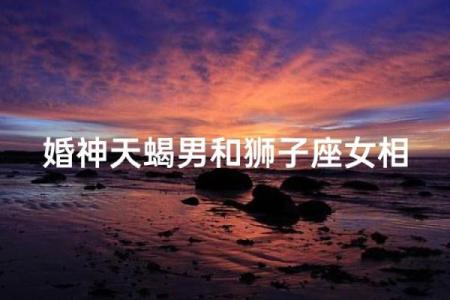 天蝎女和狮子男配对指数 天蝎女和狮子男适合在一起吗