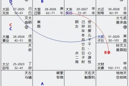大运紫微斗数命盘查询详解 紫微斗数大运什么意思？